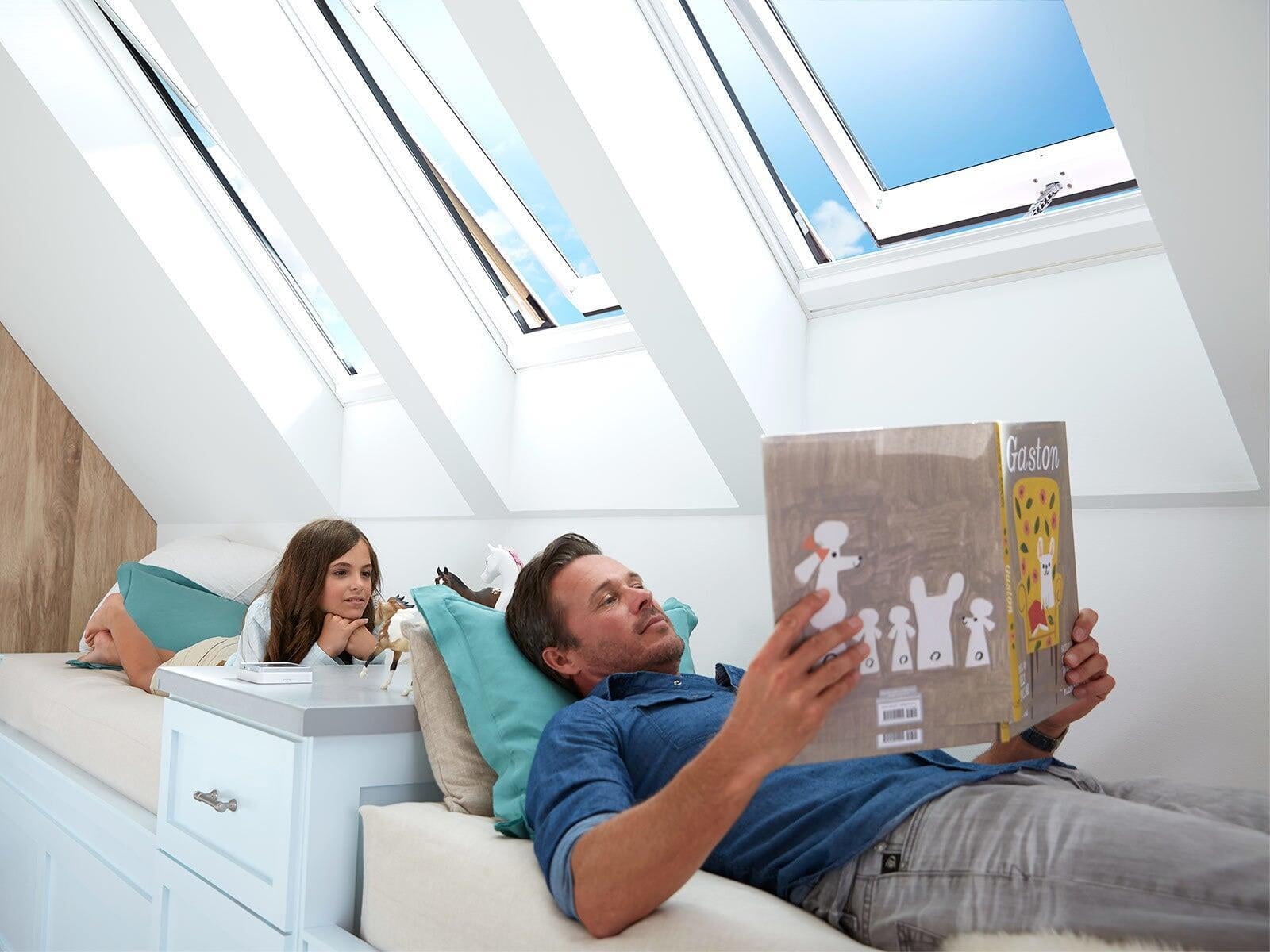 manual skylight Velux Santa Cruz San Jose