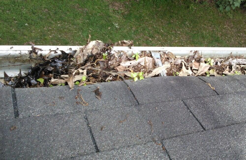 Clogged gutters