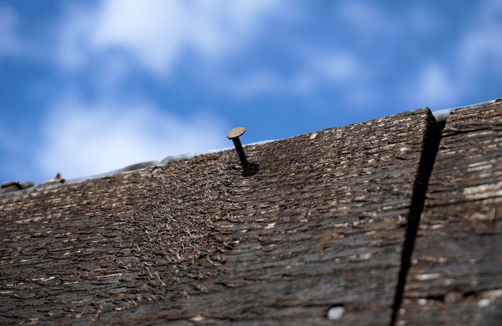 exposed nail roof