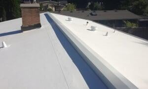 flat roof Santa Cruz