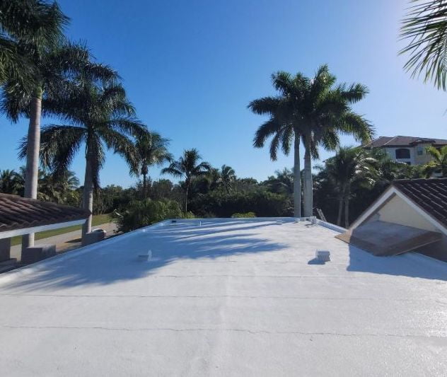 Tropical Roofing Silicone